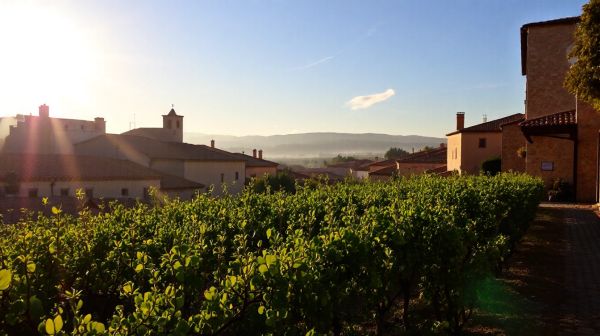 Guide complet pour maîtriser l'énergie solaire à Narbonne